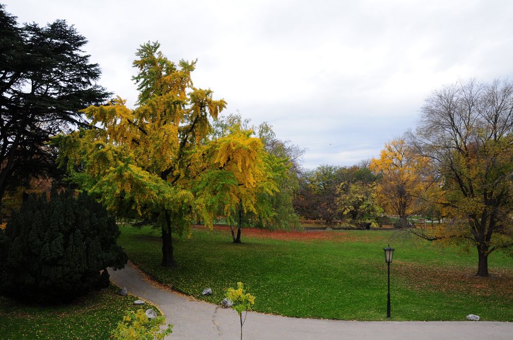 Park in Wien