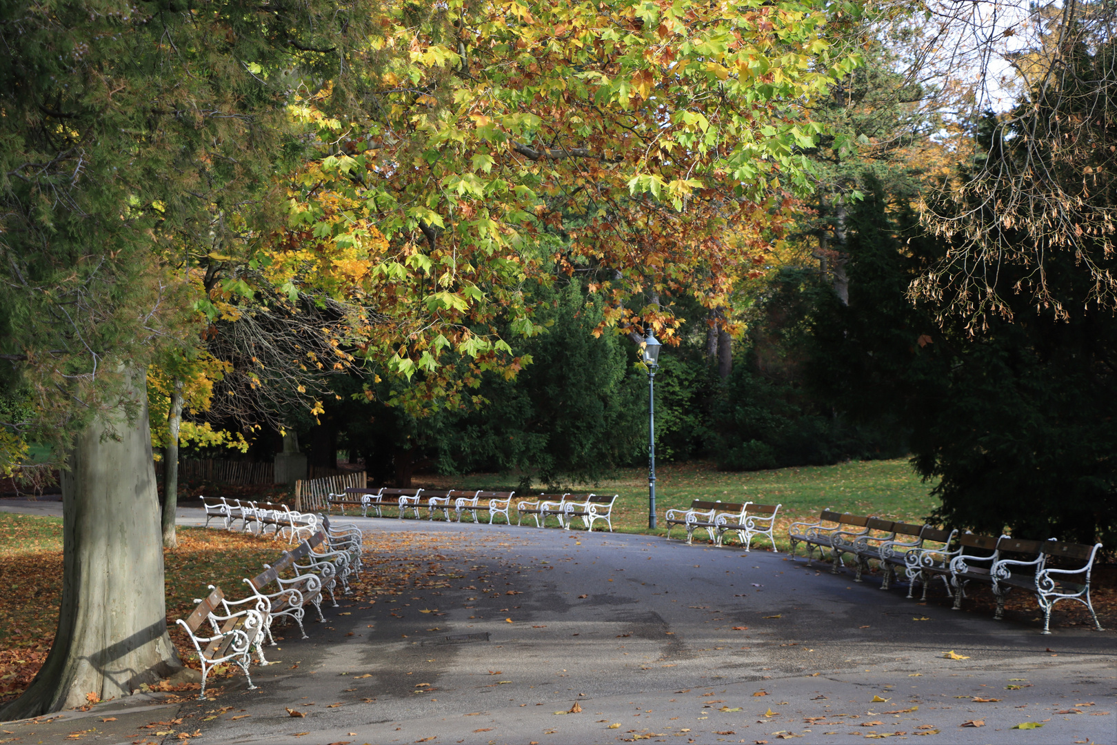 Park in Wien