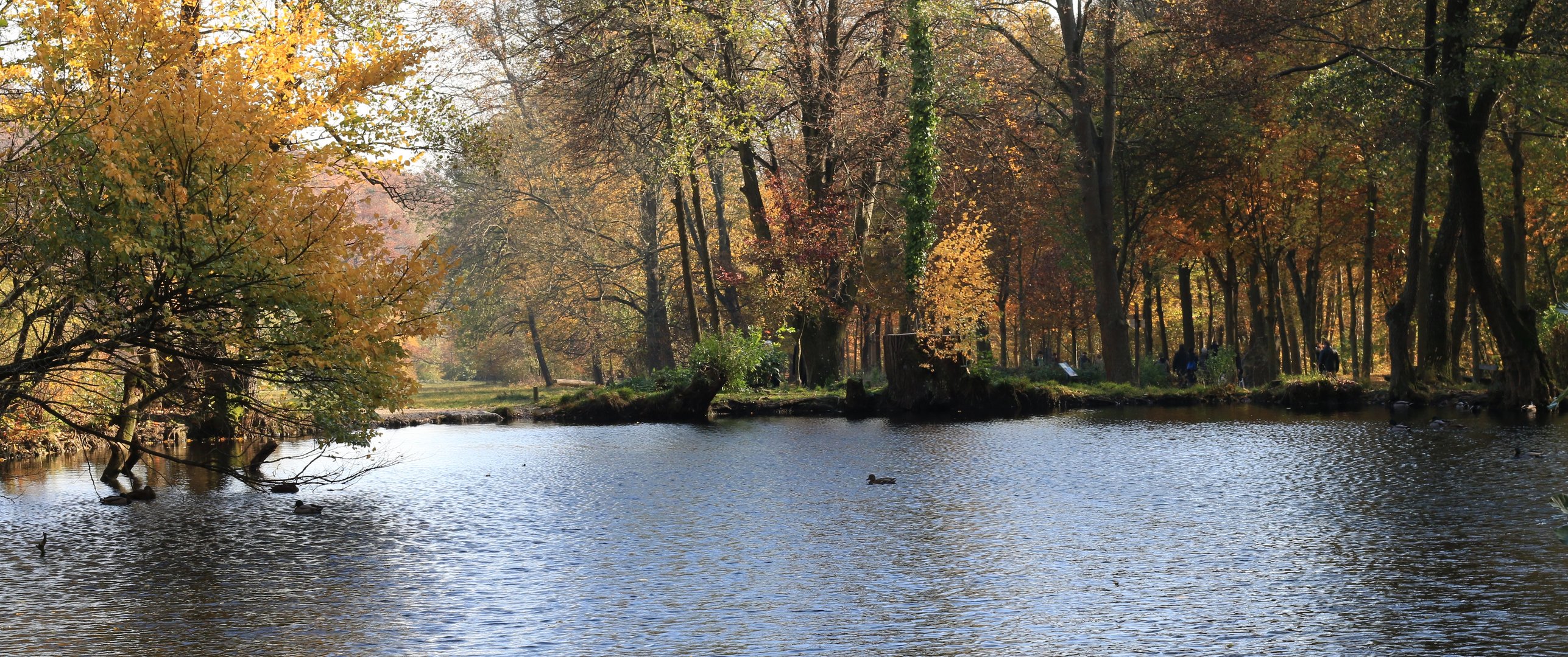 Park in Wien