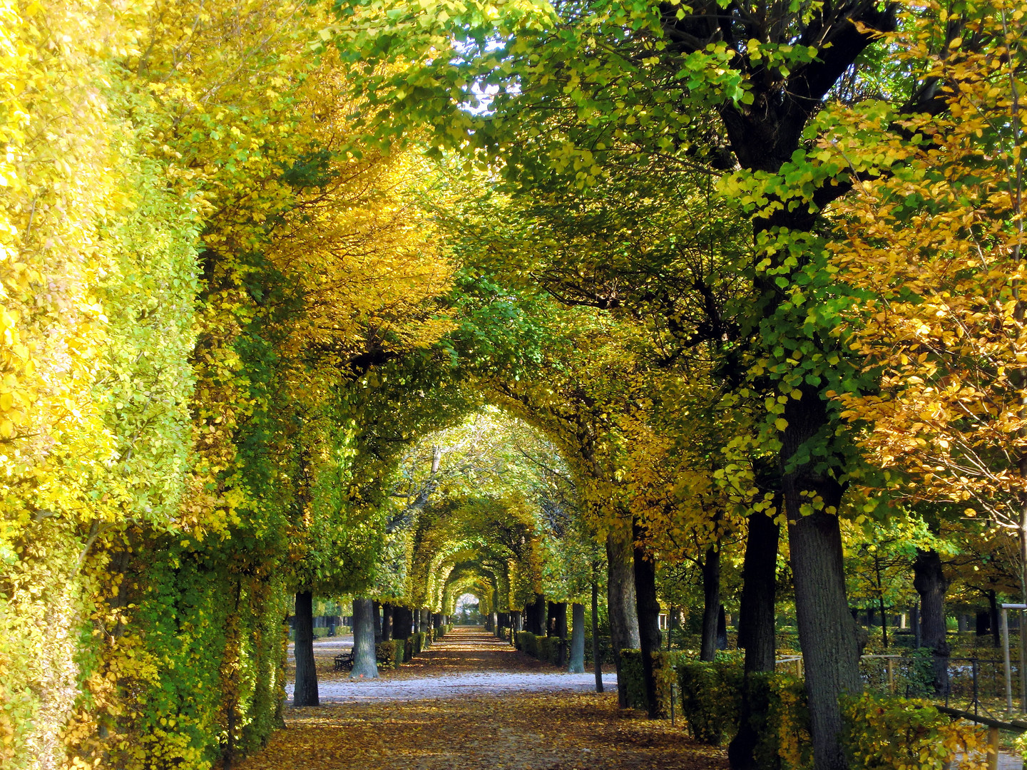 Park in Wien Schönbrunn...