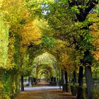 Park in Wien Schönbrunn...