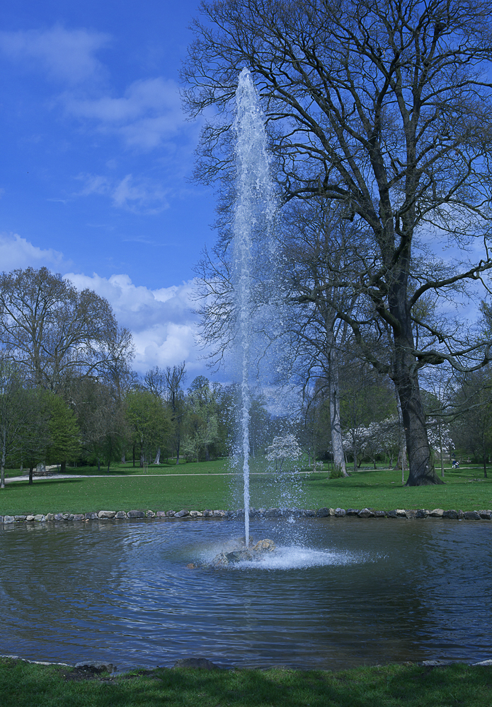 Park in Wiesbaden