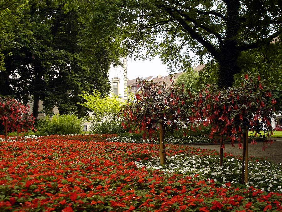 Park in Winterthur (2)