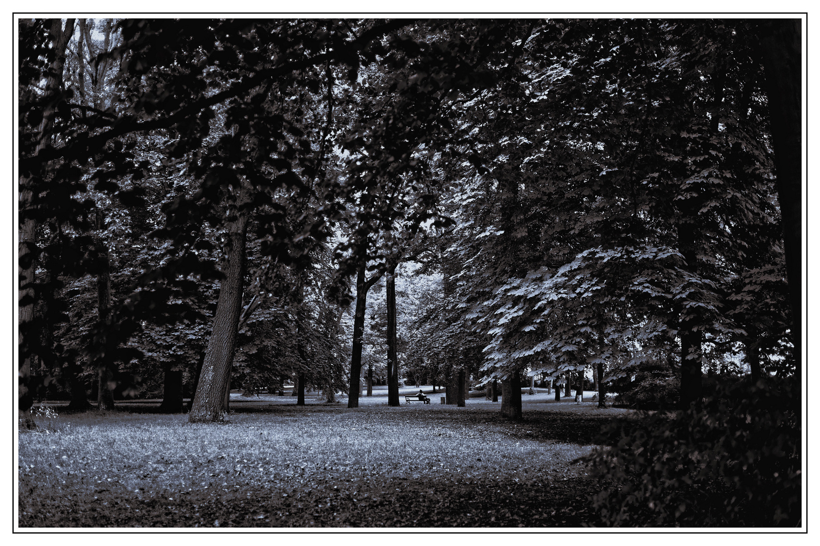 Park in Wu?rzburg