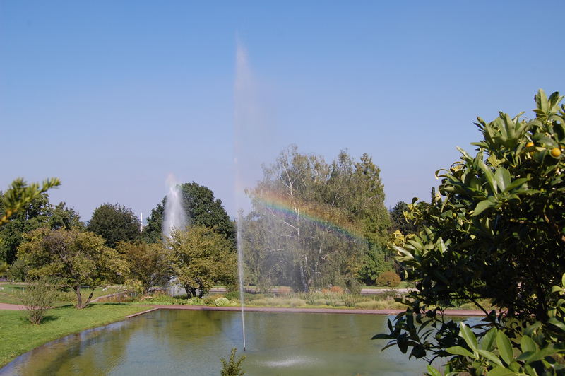 Park Killesberg Regenbogen