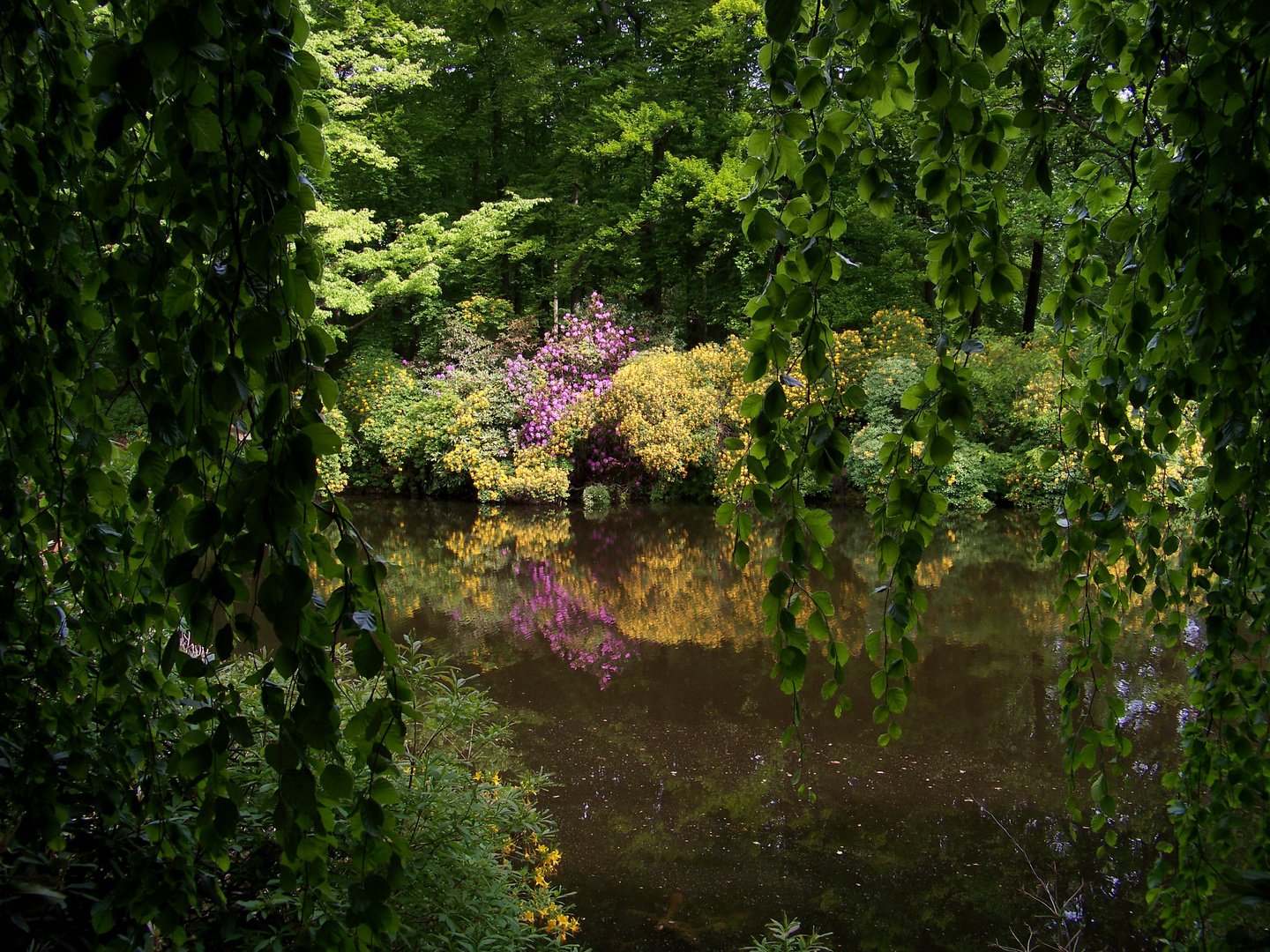 Park Kromlau VII