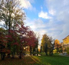 Park Kurhaus Schärding Herbst 2023