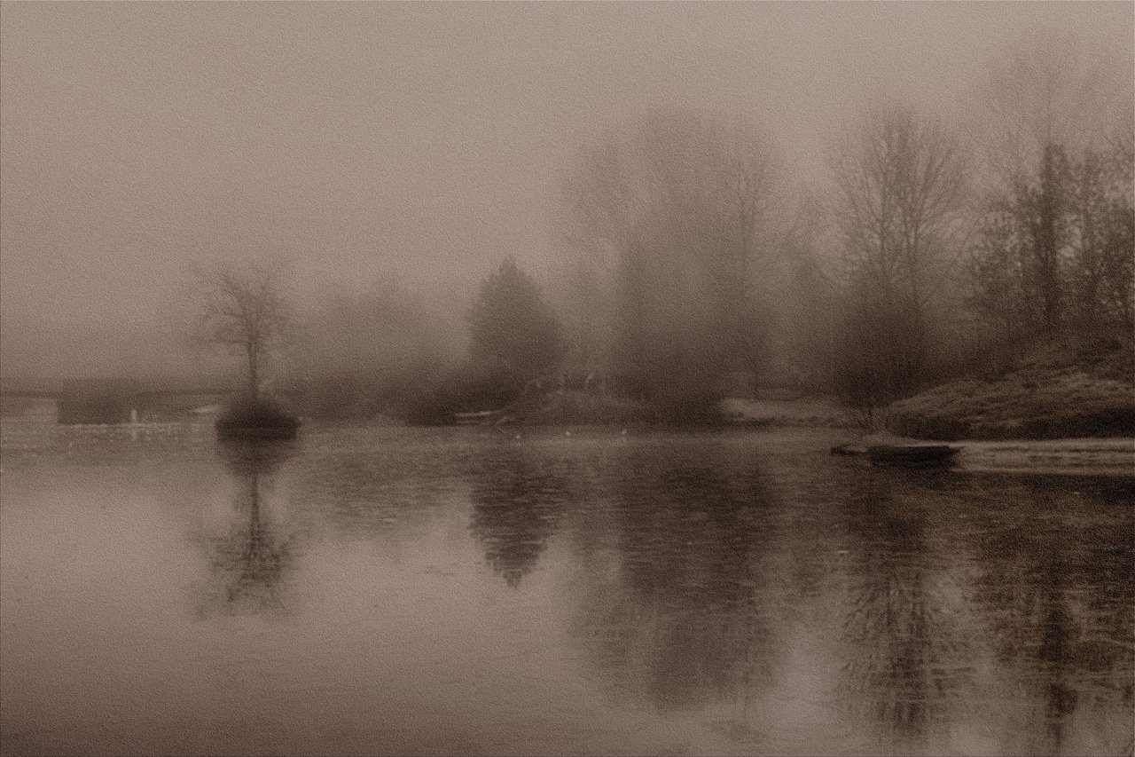 Park Lake in the Mist