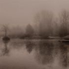 Park Lake in the Mist