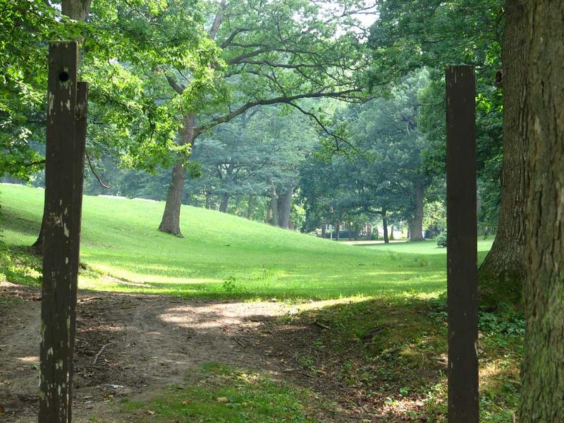 Park Landscape