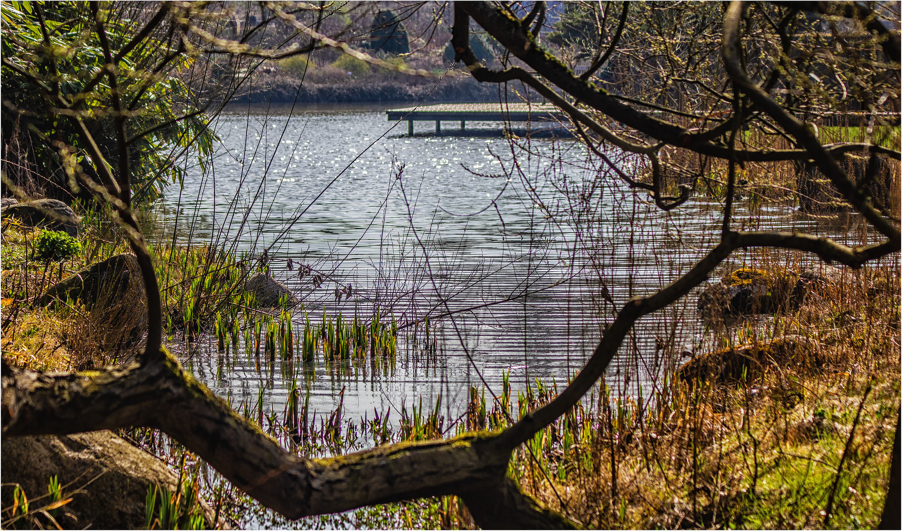 Park-Landschaft