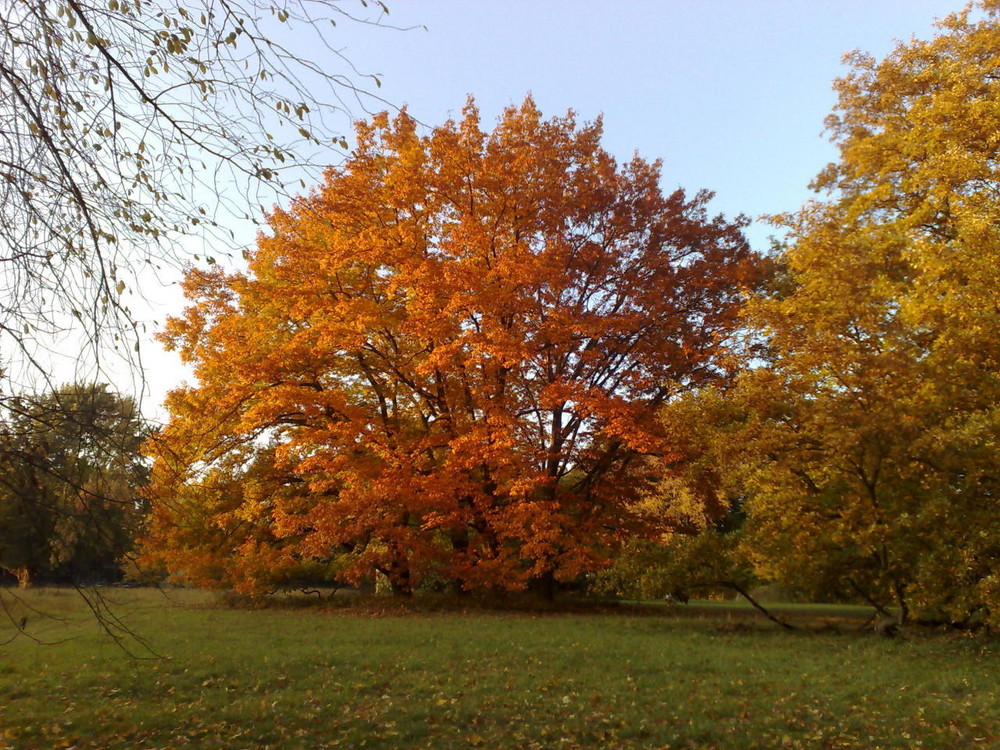 Park Langenstein by Ev.O 