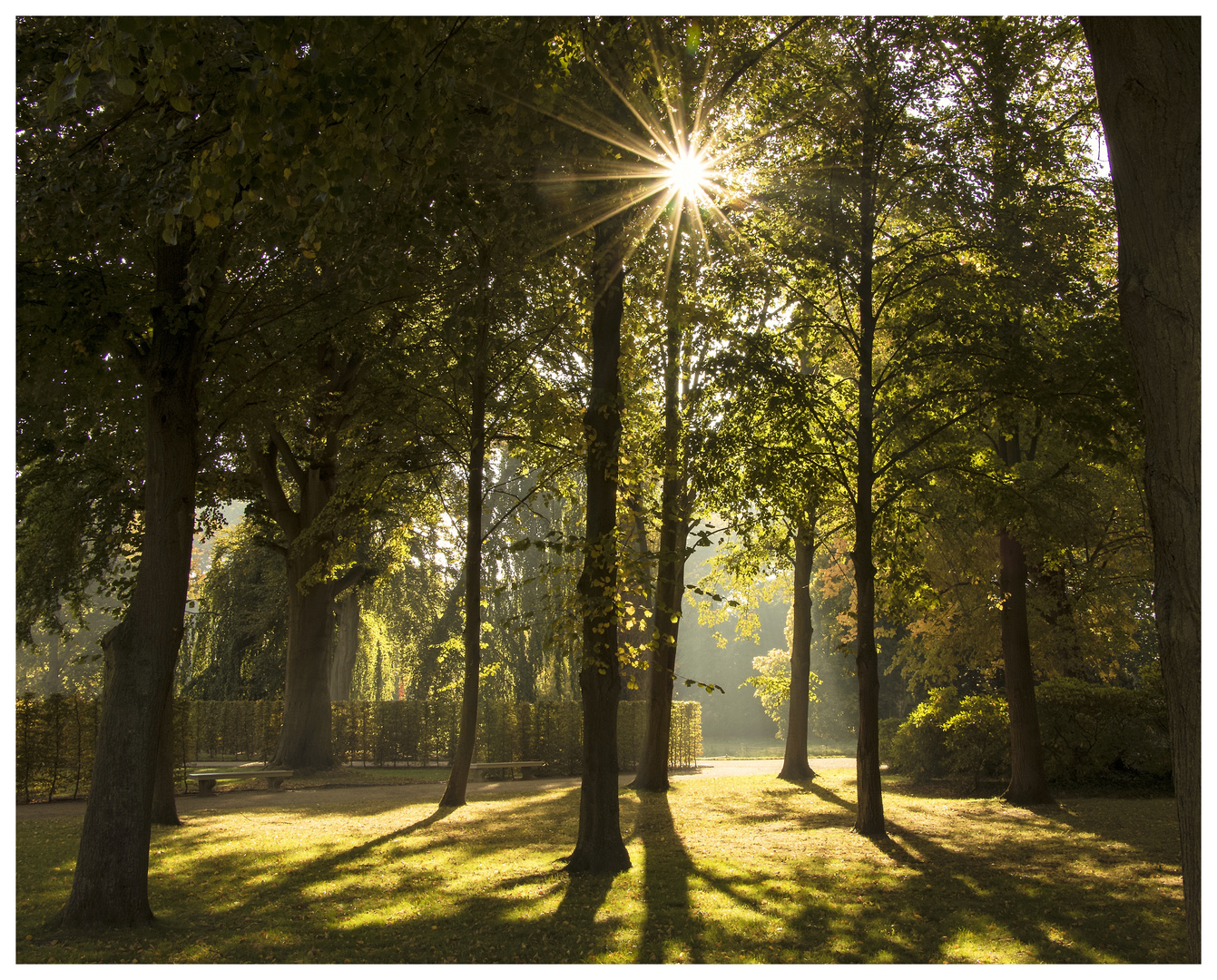 Park Licht