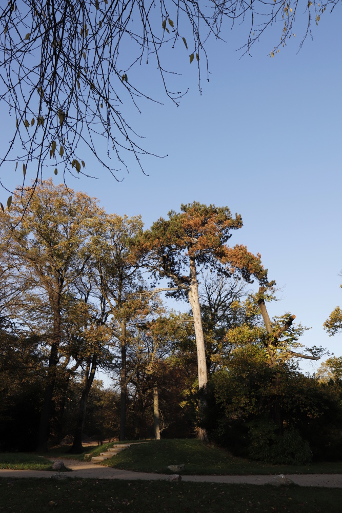 Park Luisium im Spätherbst - Bild 2