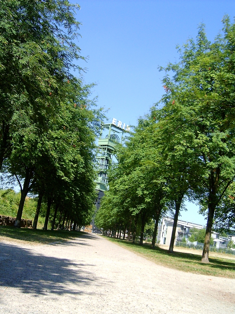 Park mit Förderturm von Zeche Erin