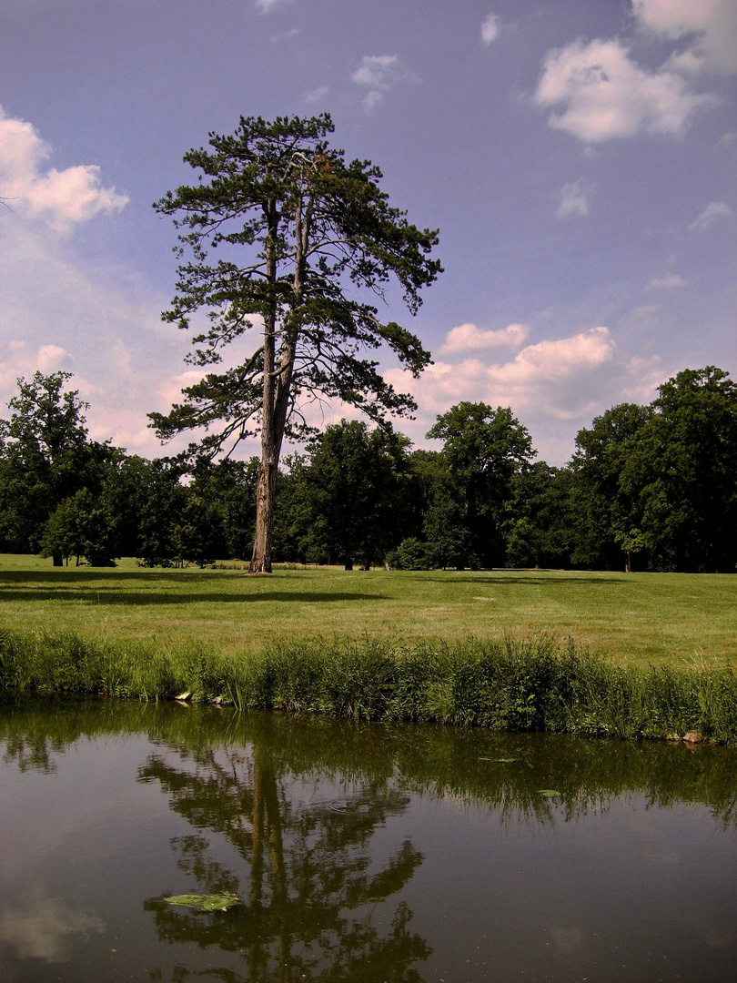 Park Muskau