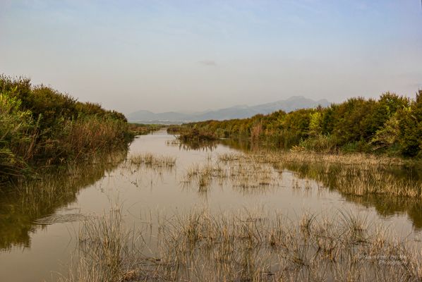 Park Natural de s'Albufera