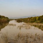 Park Natural de s'Albufera