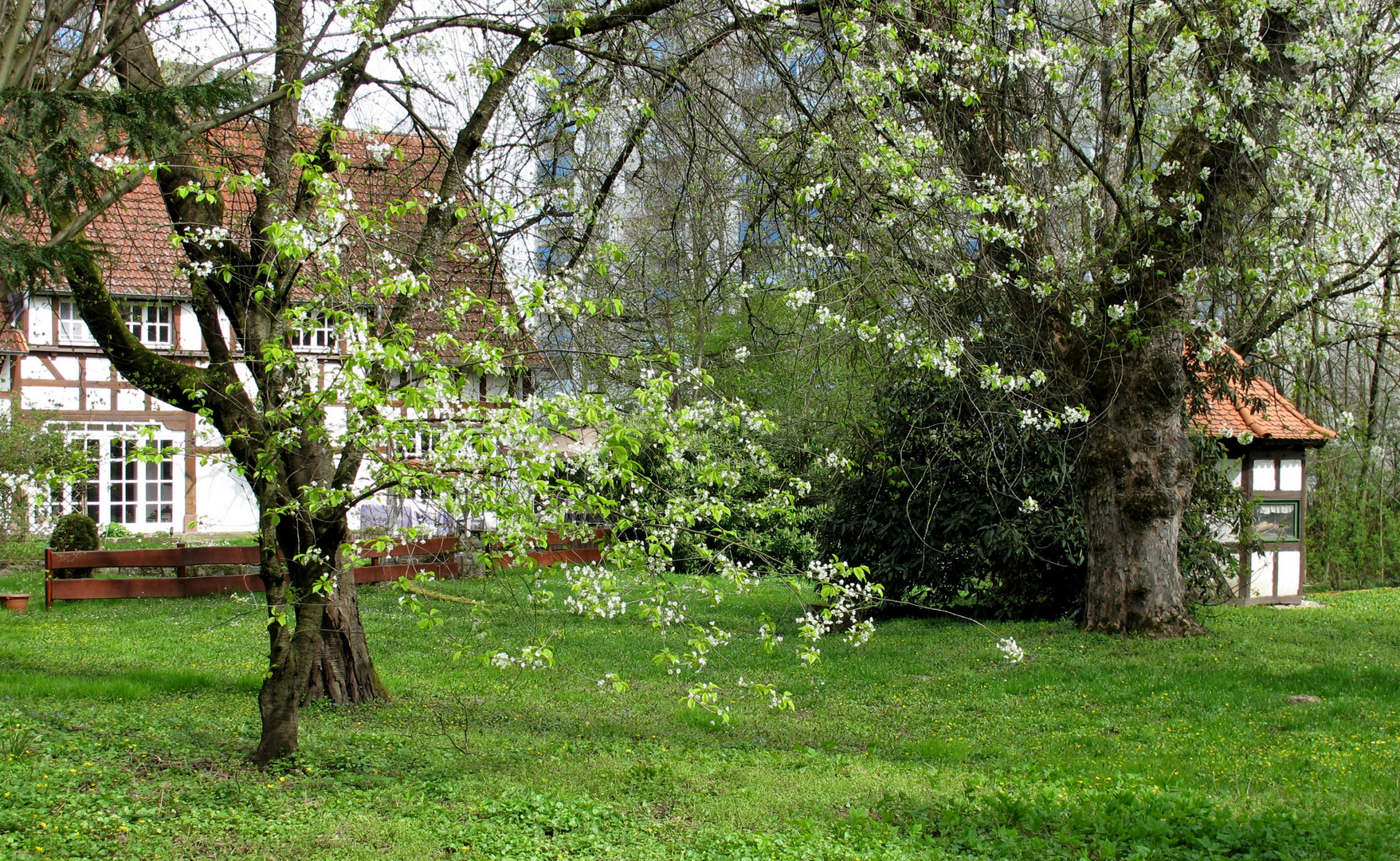 Park Oberliederbach - Frühling 2023 (2)