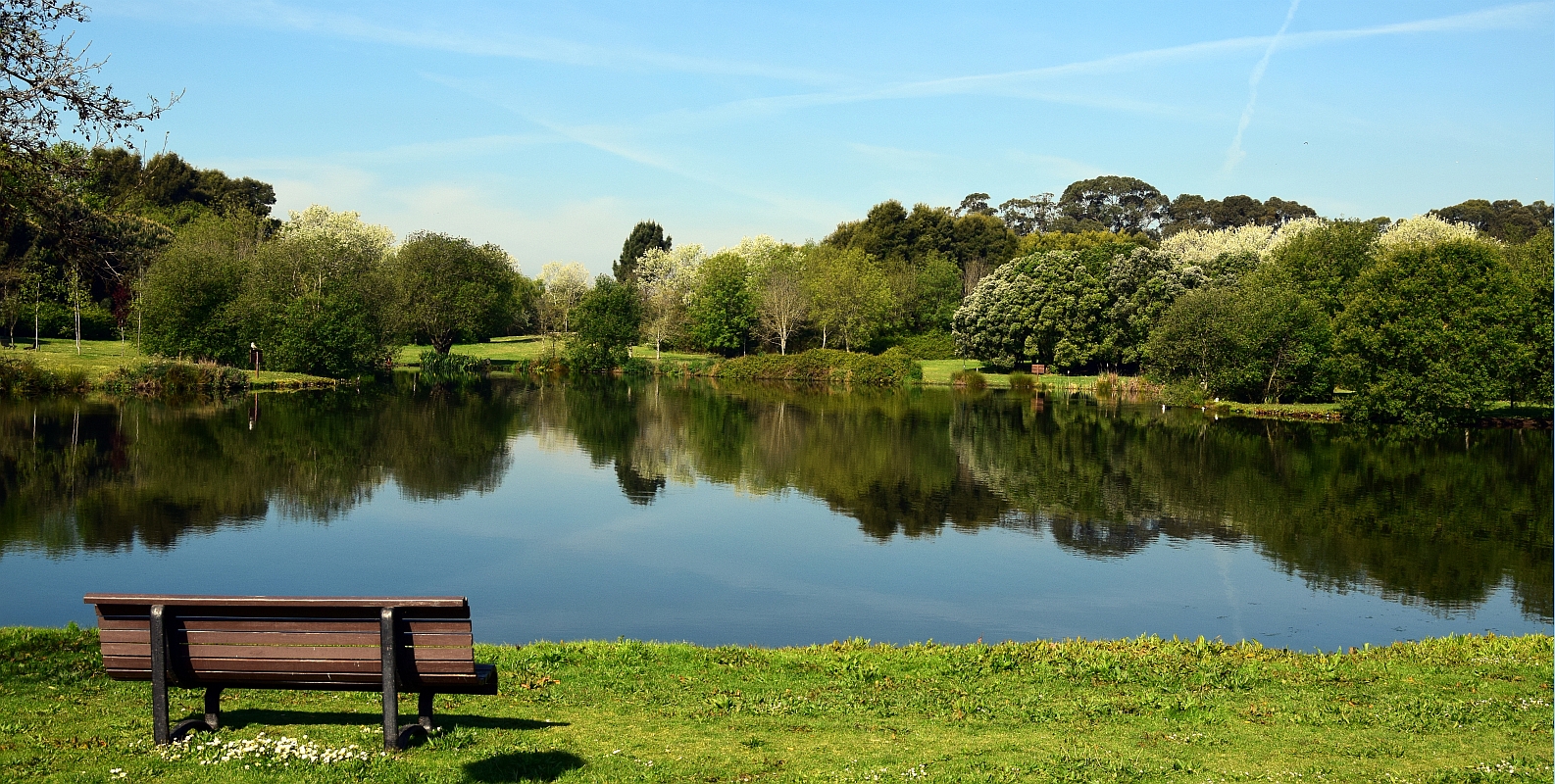 Park of the city of Porto