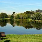 Park of the city of Porto