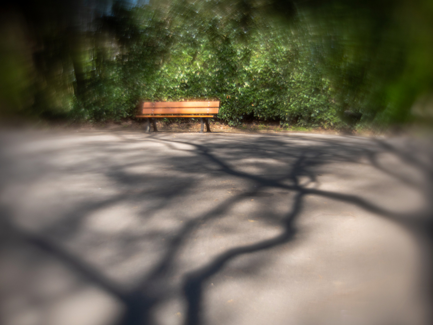 Park Ostfriedhof