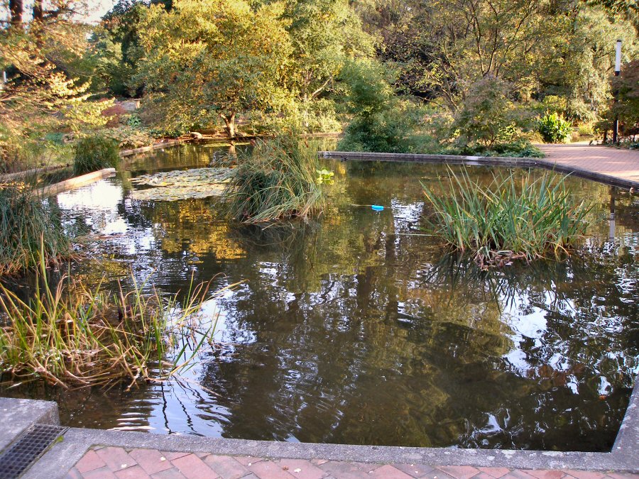 park planten un blomen