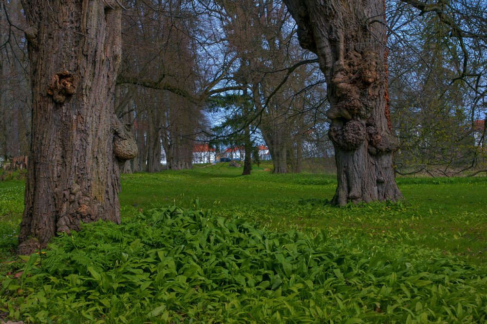 Park Putbus 01 im Frühjahr ..