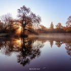 Park San Souci in Potsdam