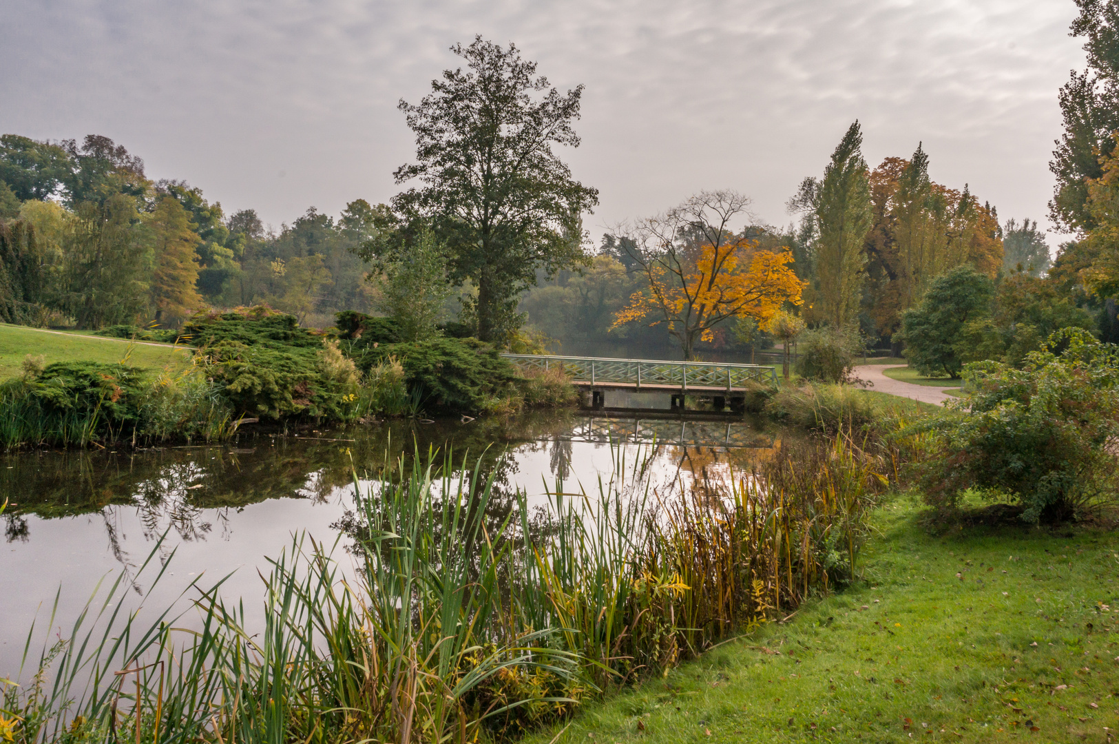 Park Sanssouci IV - Potsdam