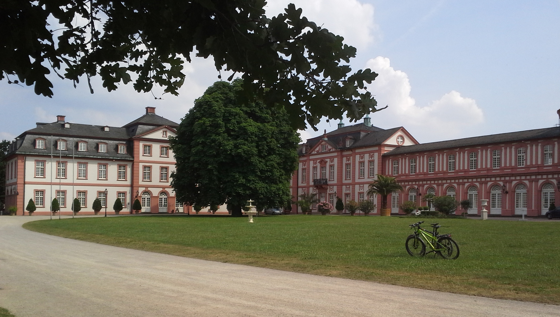 Park Schloss Biebrich