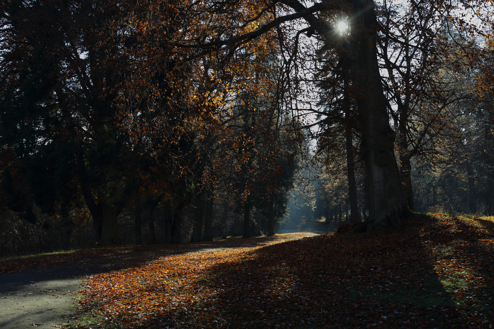 Park Schloß Eisenbach