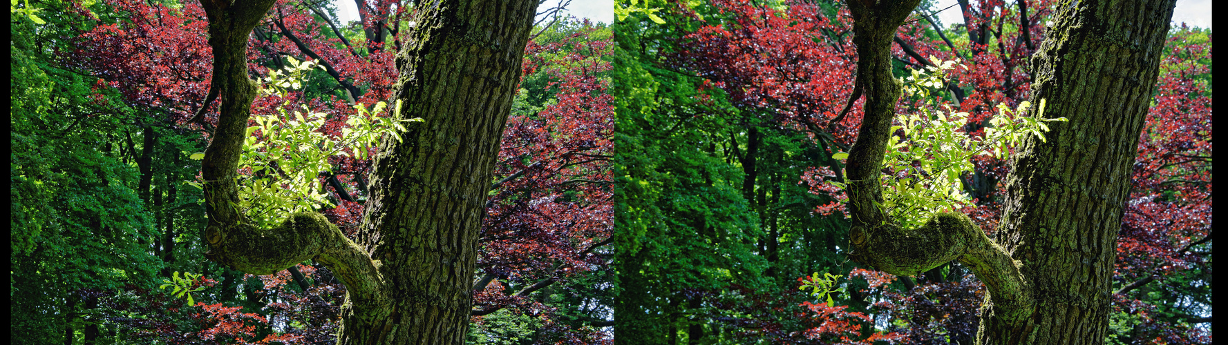 Park Schloss Heltorf, Stadtrand Duisburg (K1)