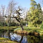 Park Schloss Lütetsburg