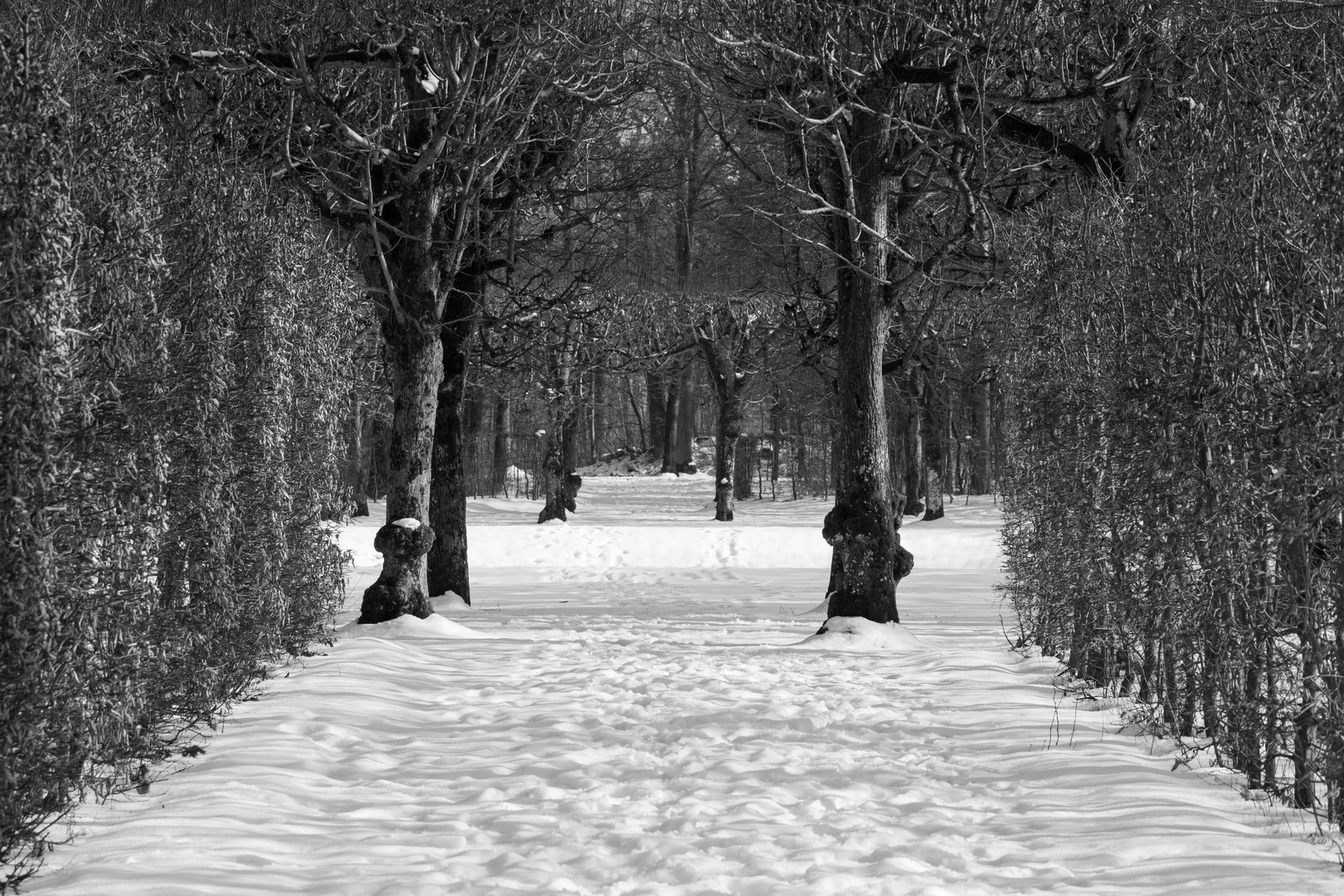 Park Schloss Schleißheim