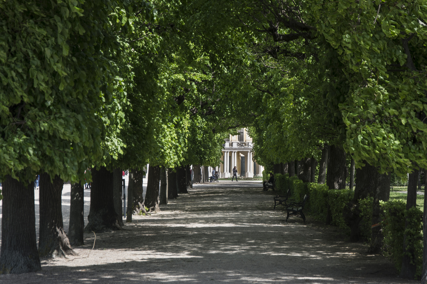 Park Schloss Schönbrunn