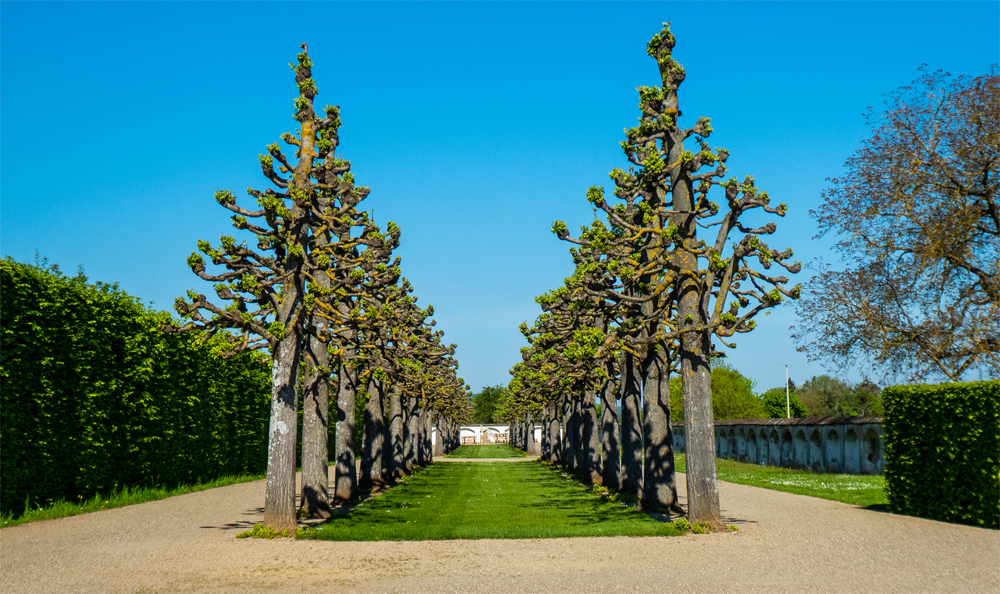 Park Schloss Seehof Oberfranken