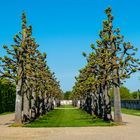 Park Schloss Seehof Oberfranken