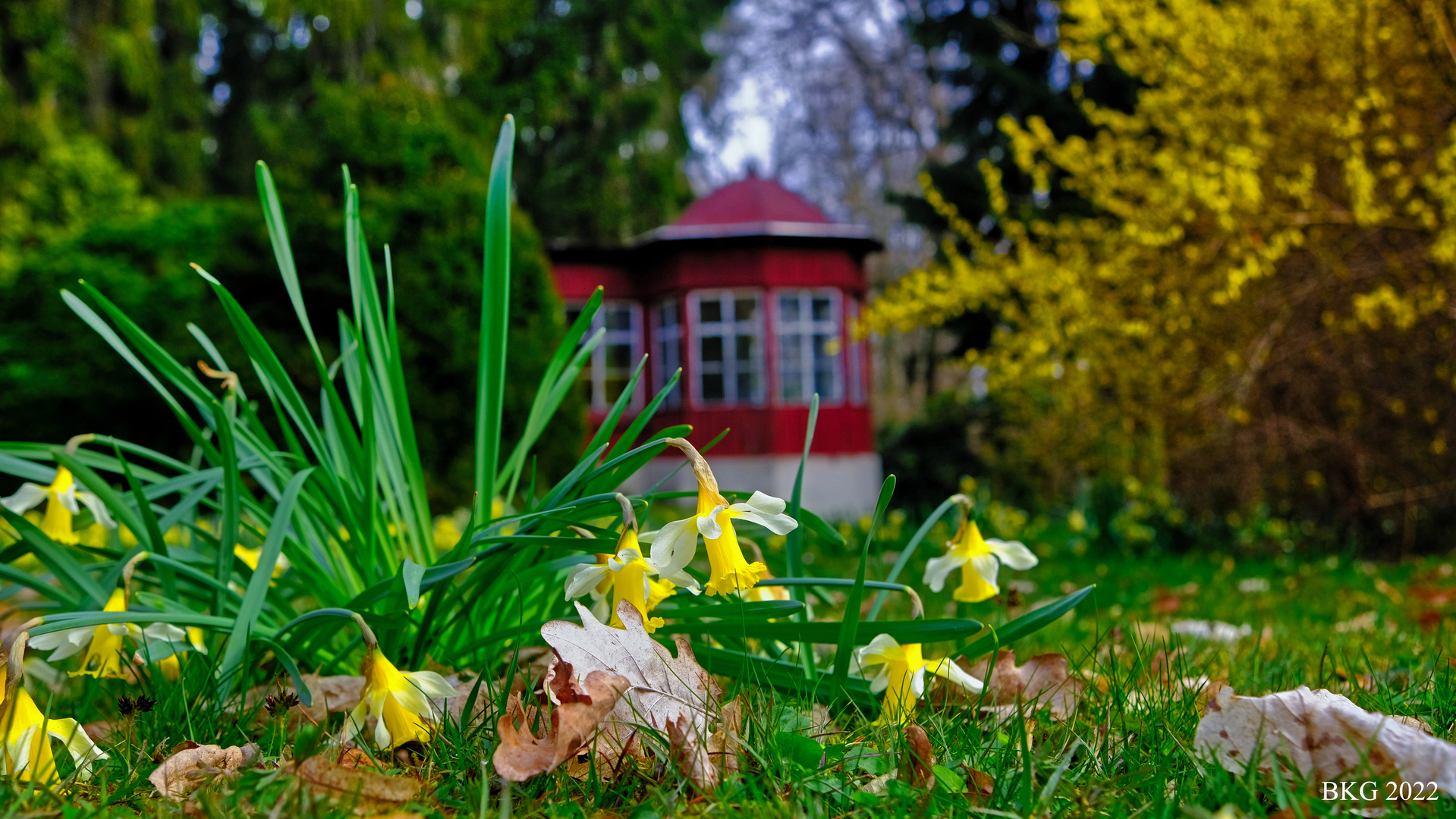 Park Schloss Tannenfeld 