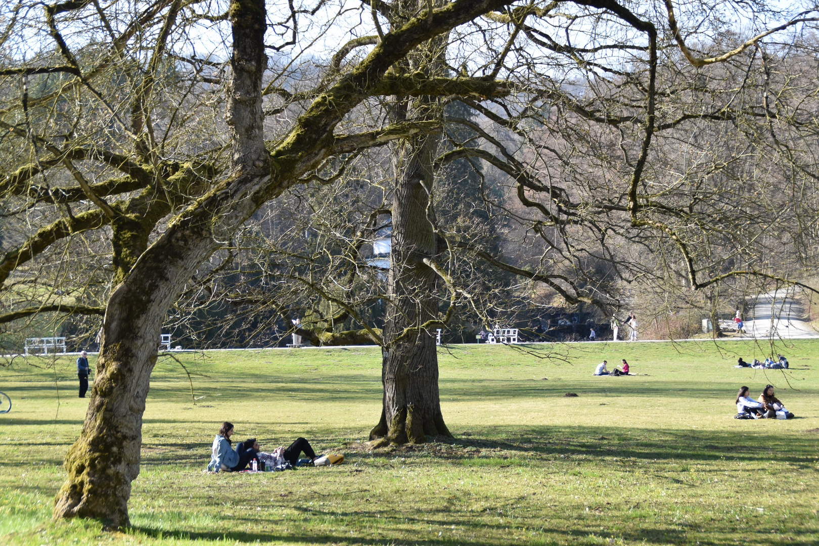 Park Schloss Wilhelmshöhe