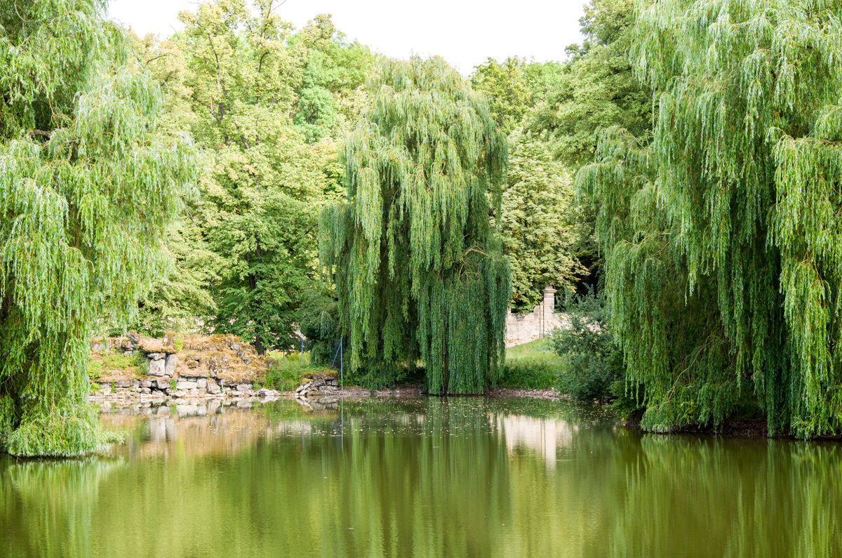 Park Schloss Wilhelmstal bei Kassel