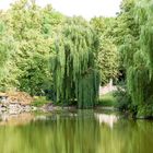 Park Schloss Wilhelmstal bei Kassel