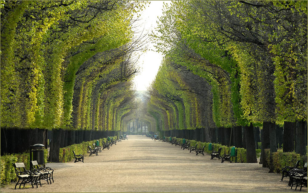 Park-Schönbrunn