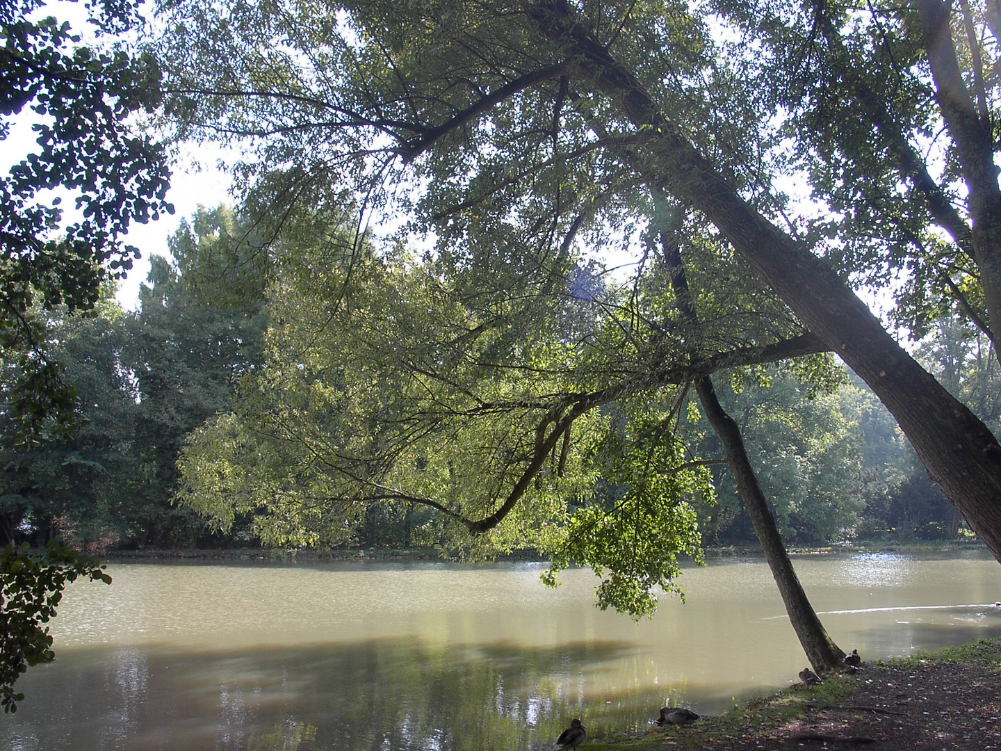 Park Schönbusch I