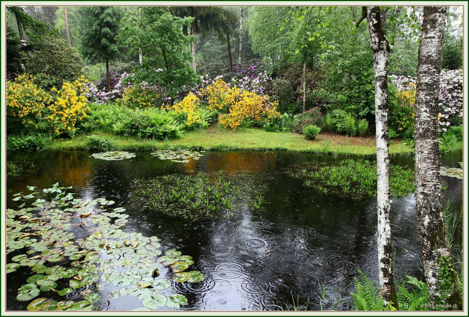 Park Seleger Moor bei Rifferswil 2018-05-16 008 ©