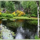 Park Seleger Moor bei Rifferswil 2018-05-16 008 ©