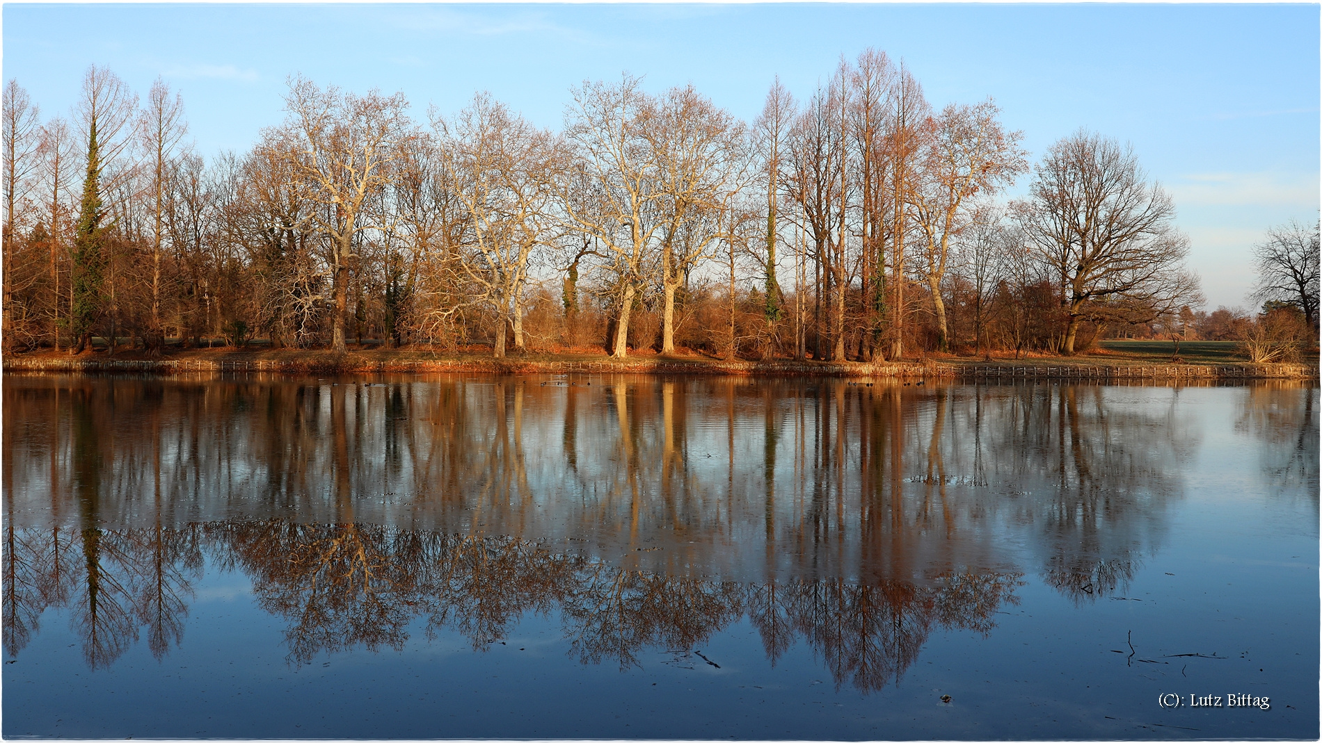 Park-Spiegelung Wörlitz