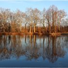 Park-Spiegelung Wörlitz