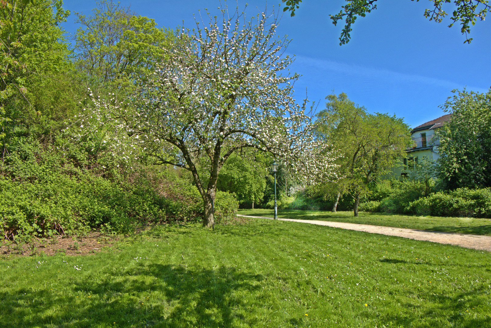 Park und Rundweg