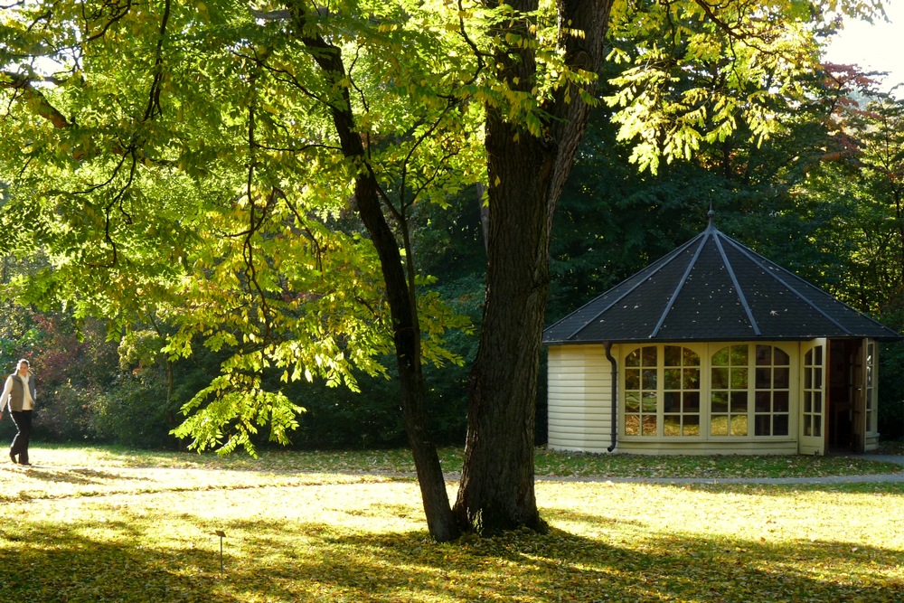 Park und Teehäuschen...